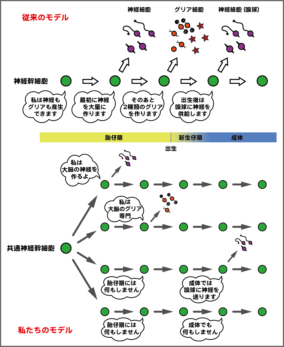 NSCs scheme